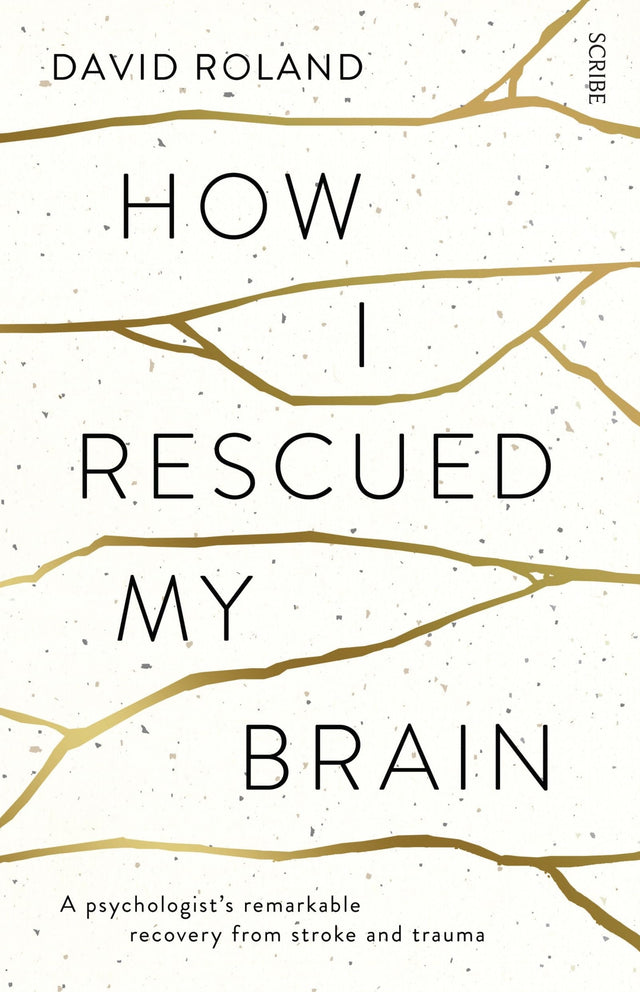 How I Rescued My Brain: a psychologist's remarkable recovery from stroke and trauma