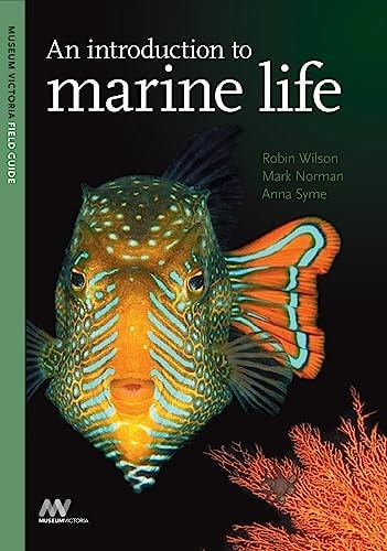 An Introduction to Marine Life