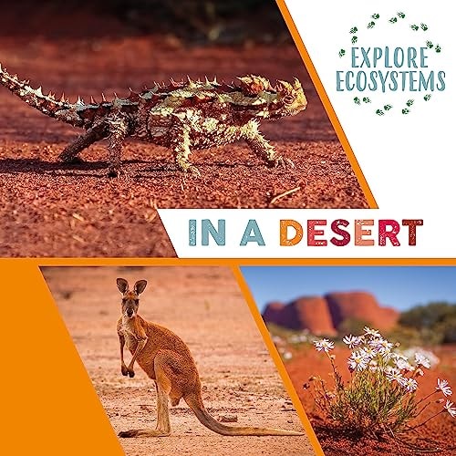 Explore Ecosystems: In a Desert