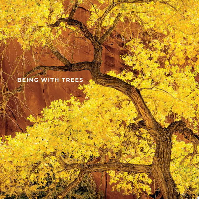 Being with Trees