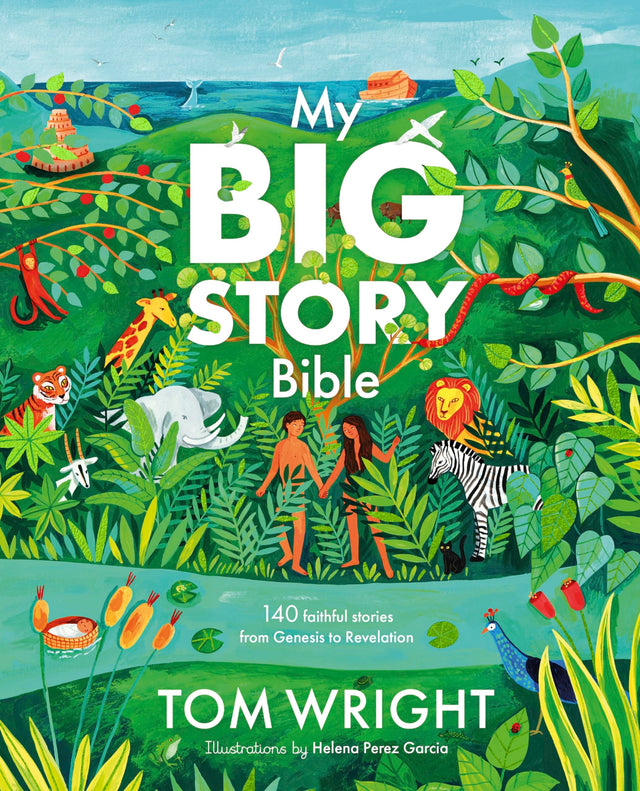 My Big Story Bible