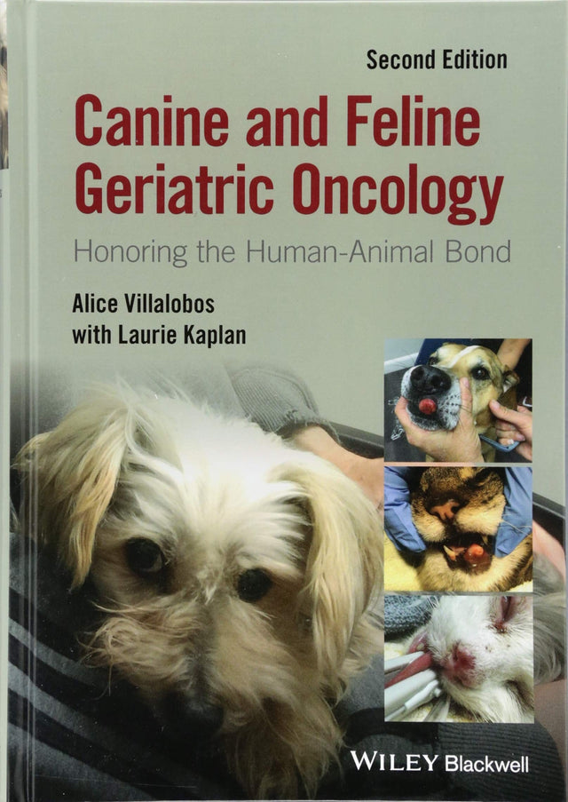 Canine and Feline Geriatric Oncology