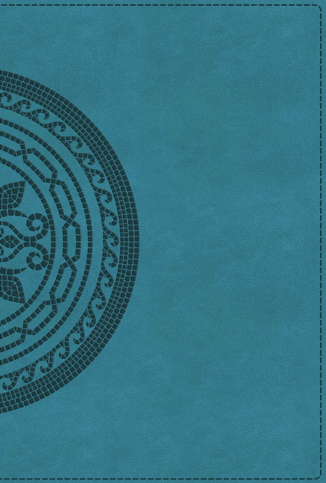 NIV Application Bible, Large Print, Leathersoft, Teal, Red Letter, Thumb Indexed, Comfort Print