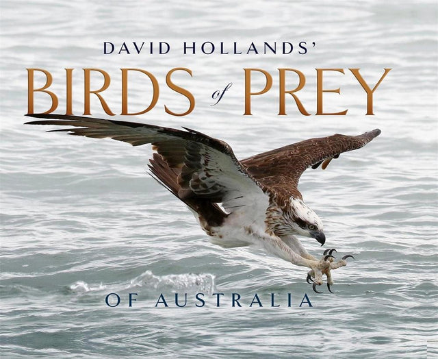 David Hollands’ Birds of Prey Of Australia