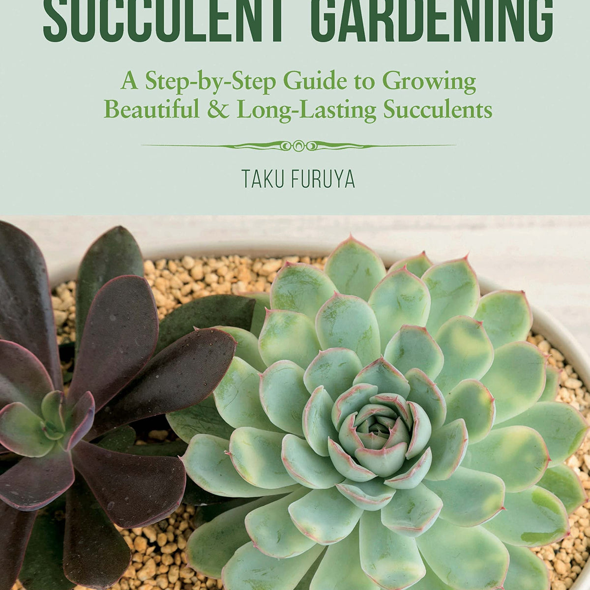 A Beginner's Guide to Succulent Gardening by Taku Furuya – Book Hero