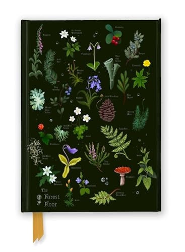 Anna Stead: The Forest Floor (Foiled Journal)