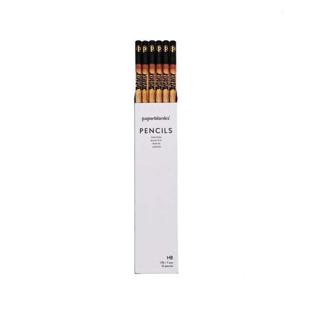Asterix & Obelix (The Adventures of Asterix) Pencil (12 Pack)