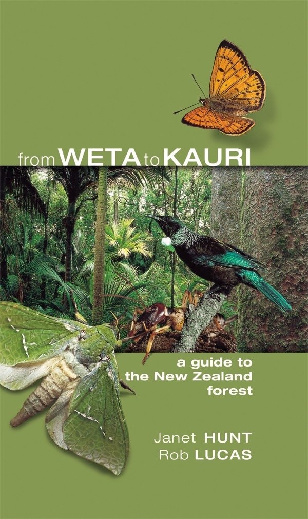 From Weta To Kauri