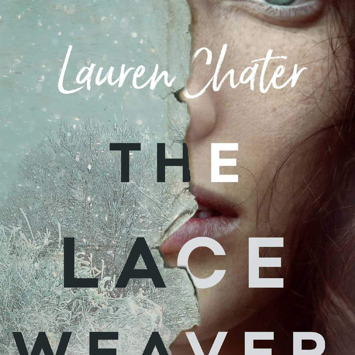 The Lace Weaver by Lauren Chater Book Hero The Lace Weaver by Lauren Chater Book Hero