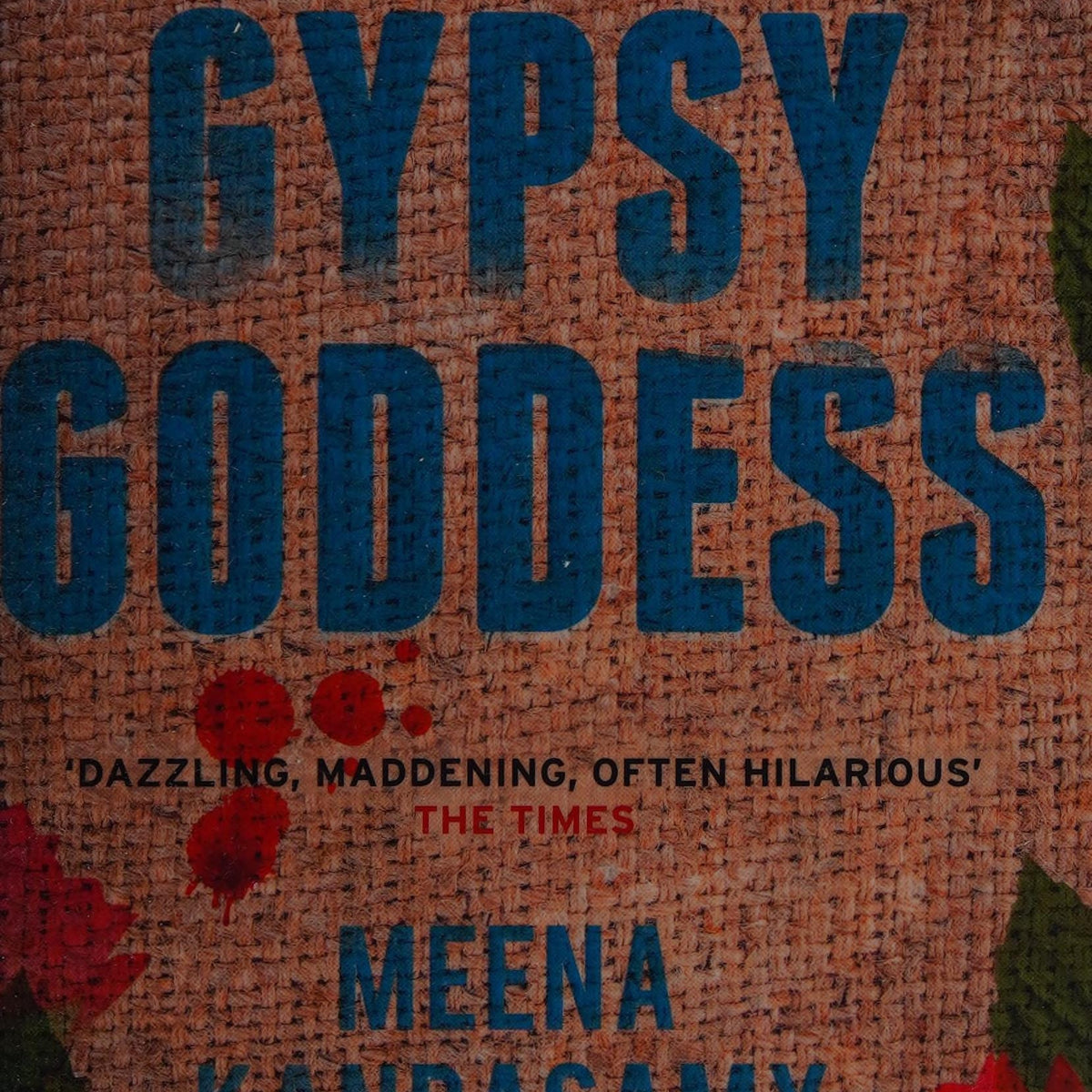The Gypsy Goddess by Meena Kandasamy Book Hero