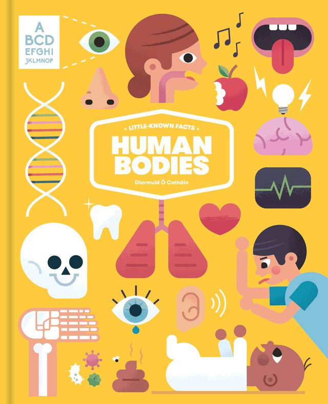 Little-known Facts: The Human Body