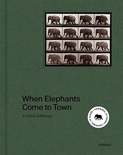 When Elephants Come to Town