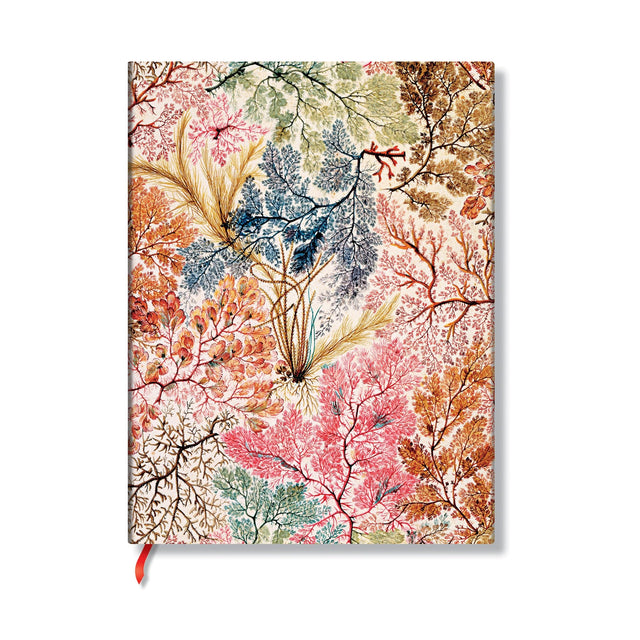 Anemone (William Kilburn) Mini Unlined Softcover Flexi Journal (Elastic Band Closure)