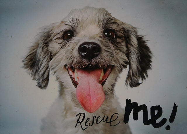 Rescue Me!