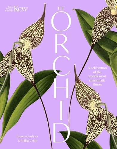 The Orchid