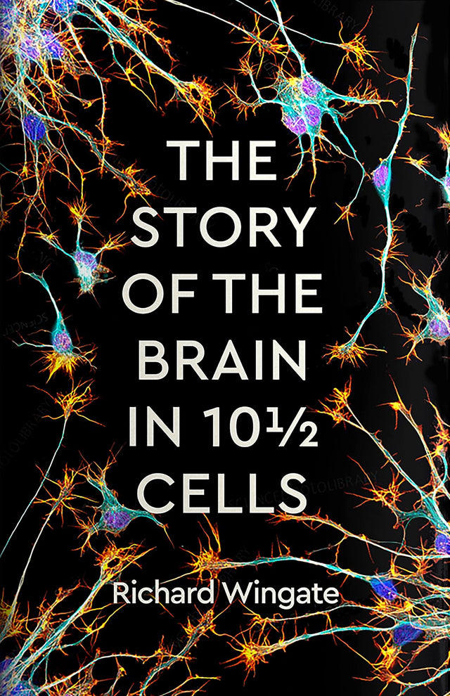 The Story of the Brain in 10Β½ Cells
