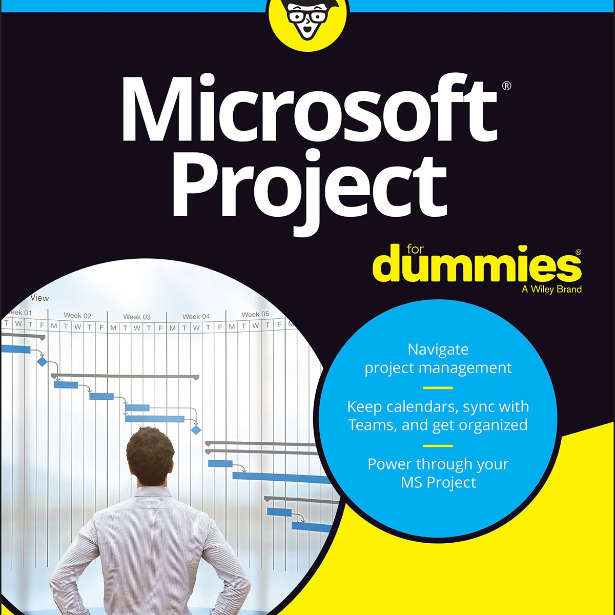 Microsoft Project For Dummies by Cynthia Snyder Dionisio Book Hero