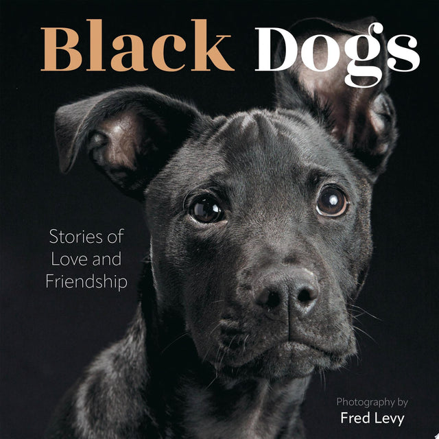 Black Dogs