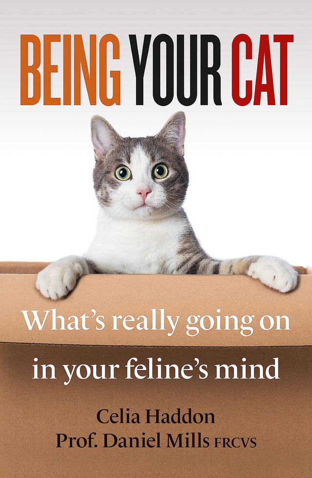 Being Your Cat