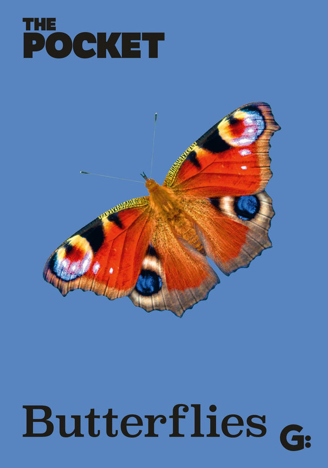 The Pocket Butterflies