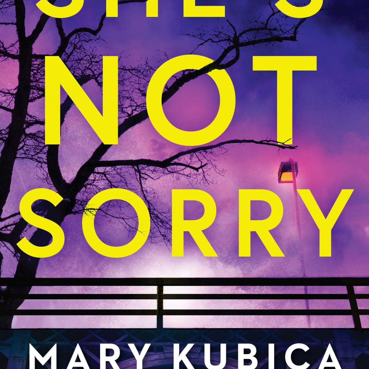 She's Not Sorry by Mary Kubica Book Hero