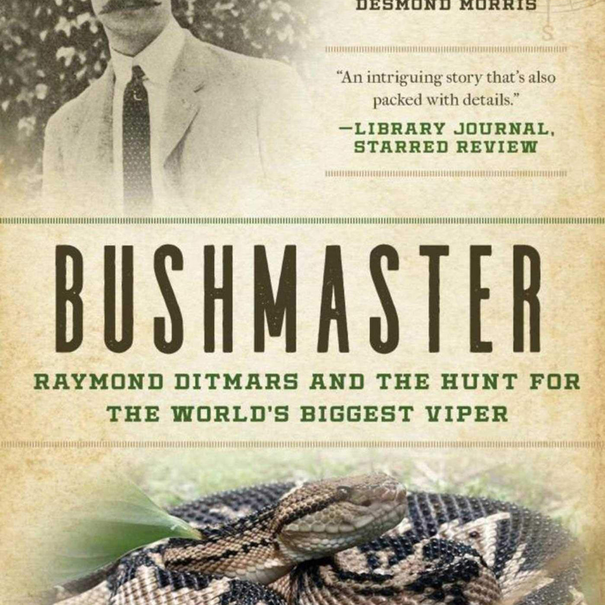 Bushmaster by Dan Eatherley – Book Hero - Main Image