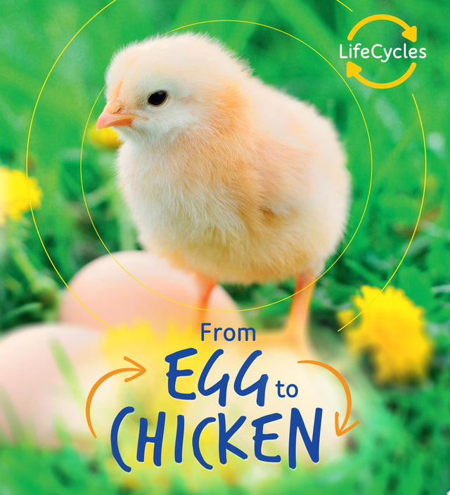 Lifecycles: Egg to Chicken