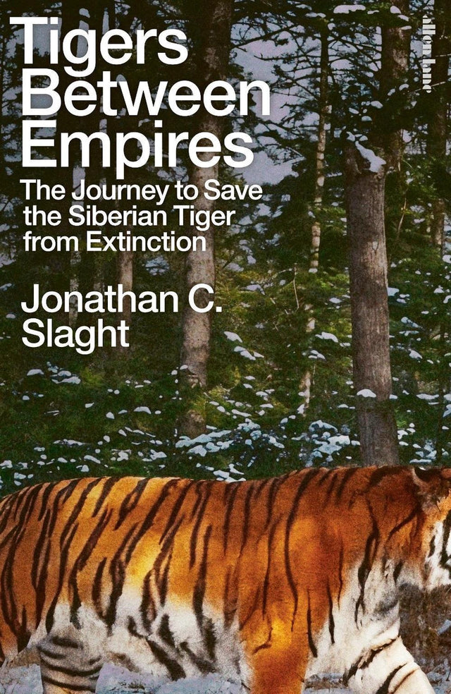 Tigers Between Empires