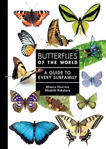 Butterflies of the World