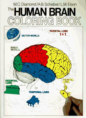 The Human Brain Coloring Book