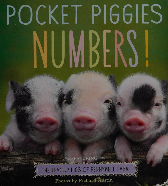 Pocket Piggies Numbers!