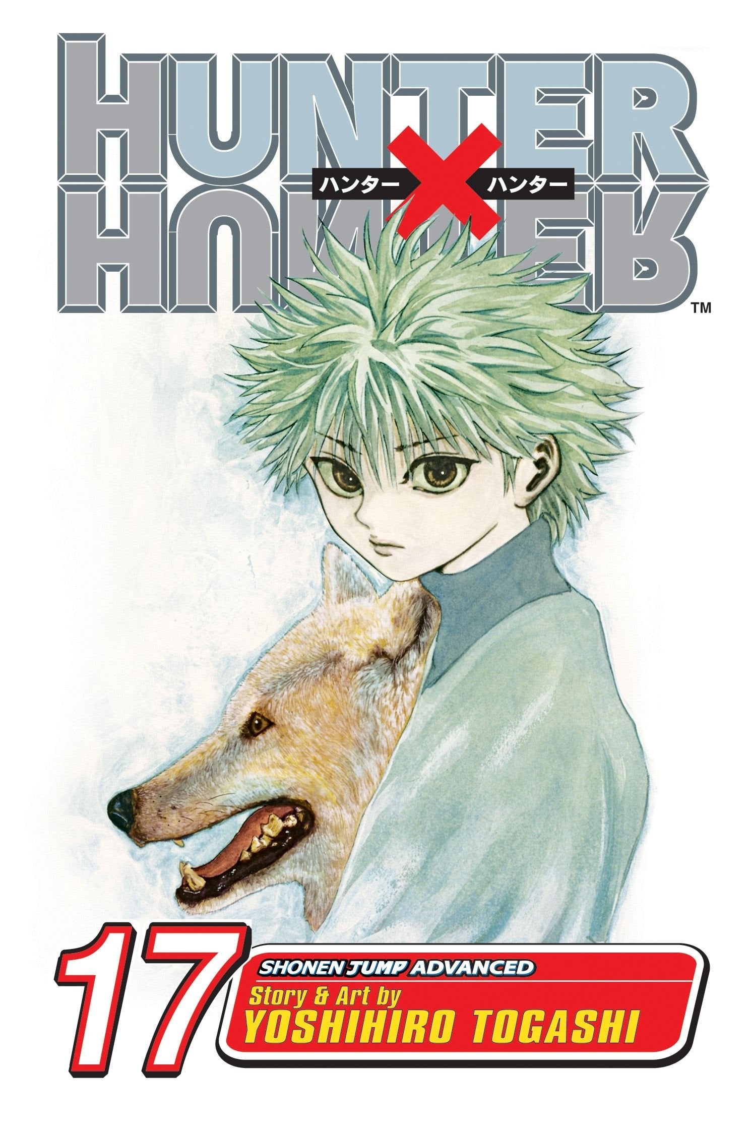 Hunter x Hunter, Vol. 17 by Yoshihiro Togashi – Book Hero