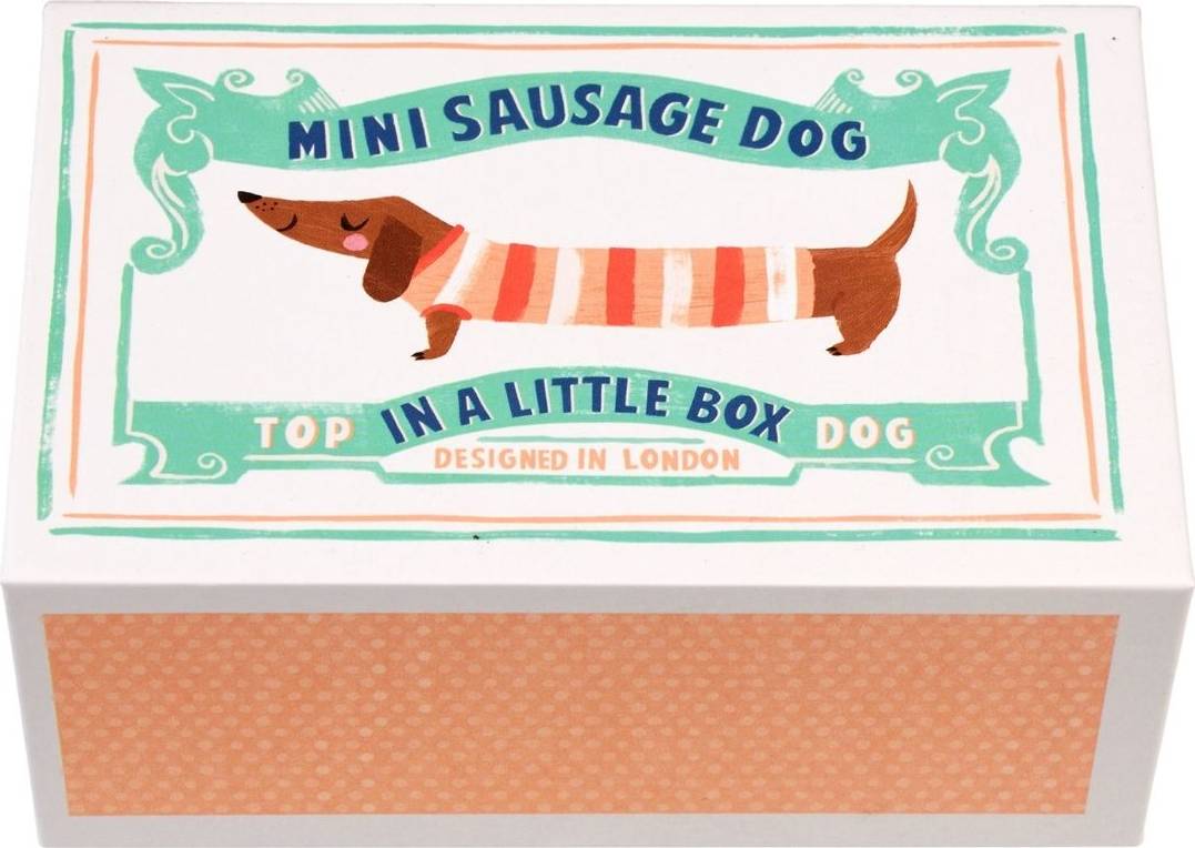 Mini Sausage Dog In A Little Box