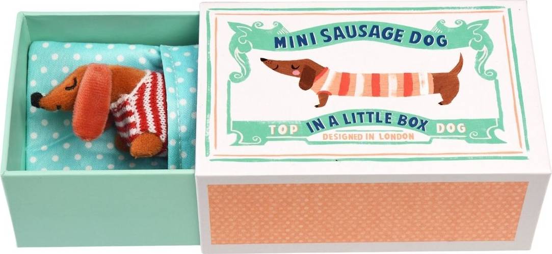 Mini Sausage Dog In A Little Box