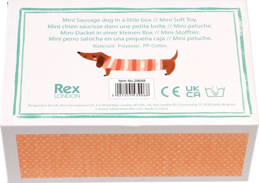 Mini Sausage Dog In A Little Box