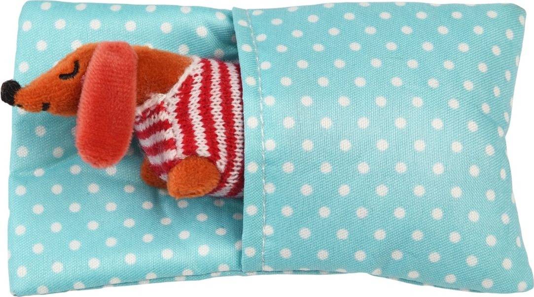 Mini Sausage Dog In A Little Box