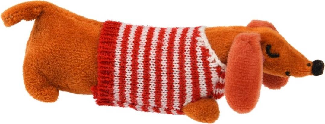 Mini Sausage Dog In A Little Box