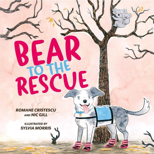 Bear to the Rescue
