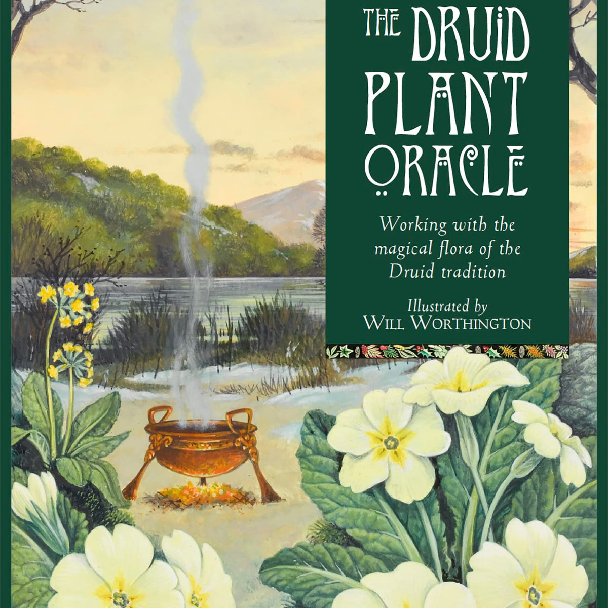 The Druid Plant Oracle by Stephanie Carr-Gomm and Philip Carr-Gomm – Book  Hero