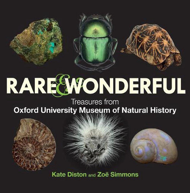 Rare & Wonderful