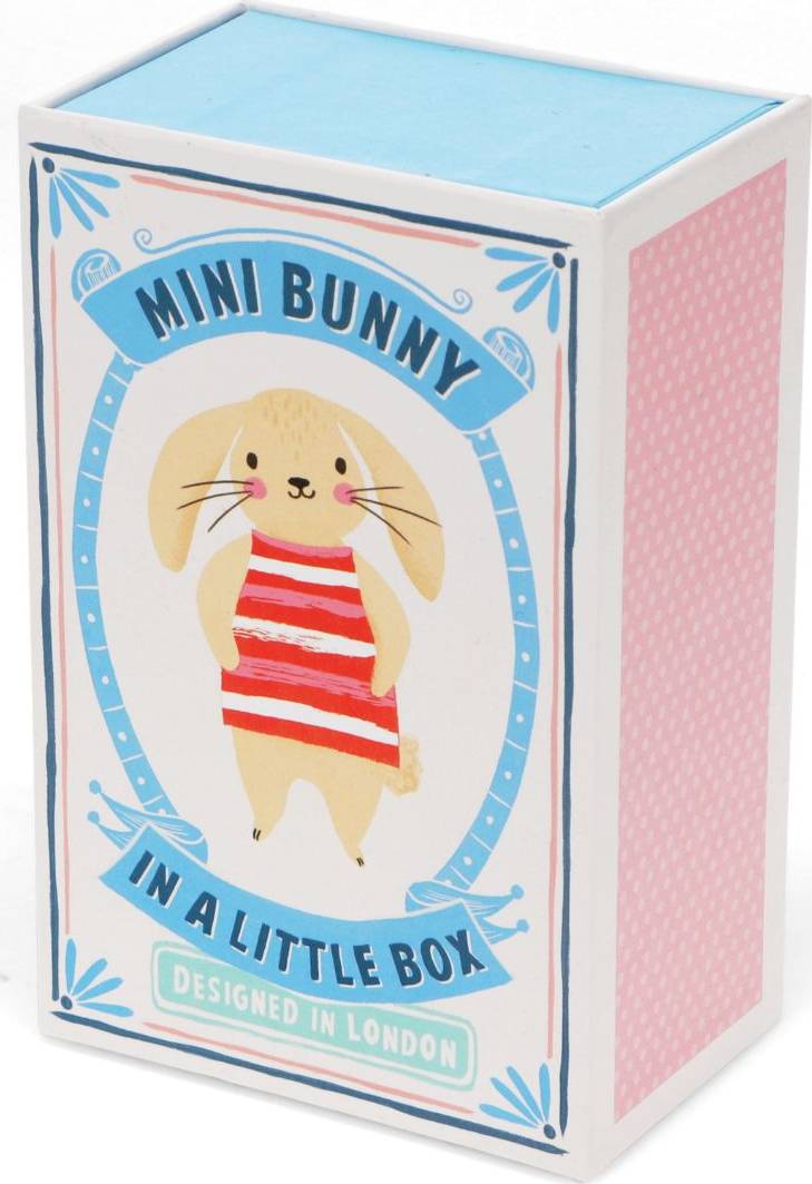 Mini Bunny In A Little Box - Soft Toy