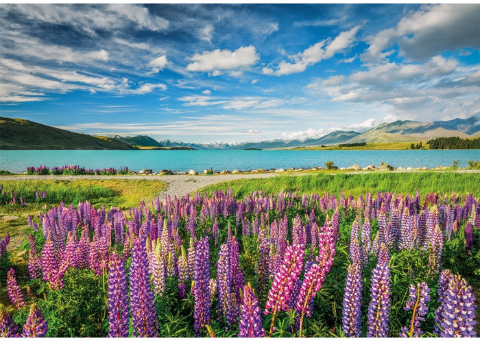 Clementoni: Lupins At Lake Tekapo Puzzle - 1500pc