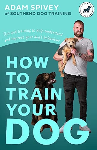 How to Train Your Dog