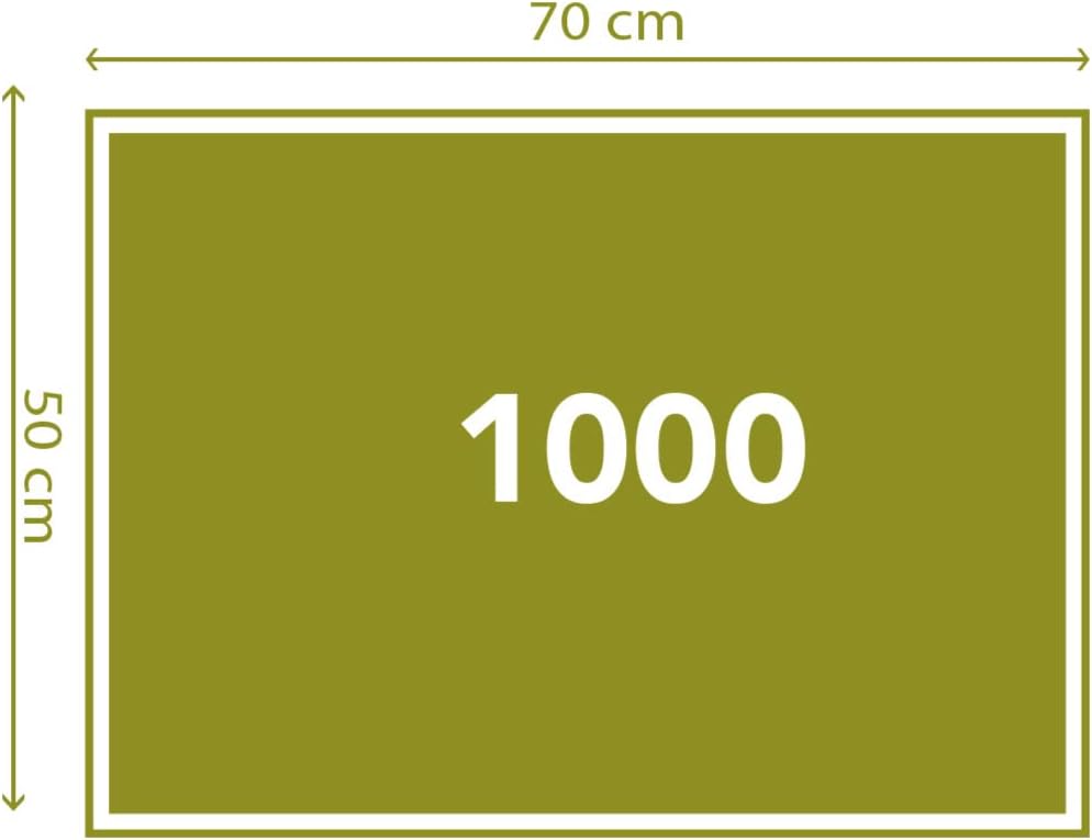 Clementoni Delacroix's Liberty Leading the People Jigsaw Puzzle - 1000 Piece - Museum Collection - (39549)