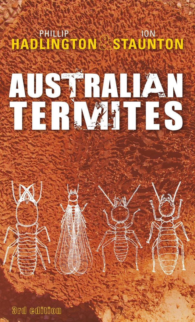 Australian Termites