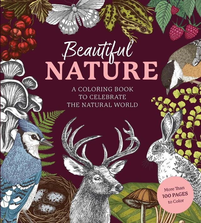 Beautiful Nature Coloring Book