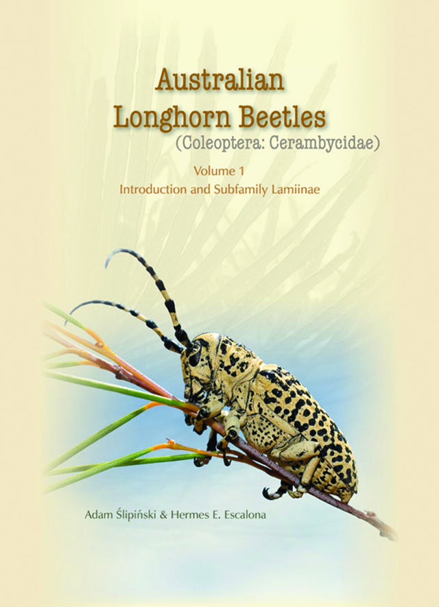 Australian Longhorn Beetles
