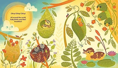 What's Inside A Bird's Nest?