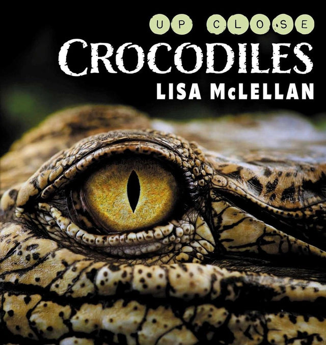 Crocodiles Close Up