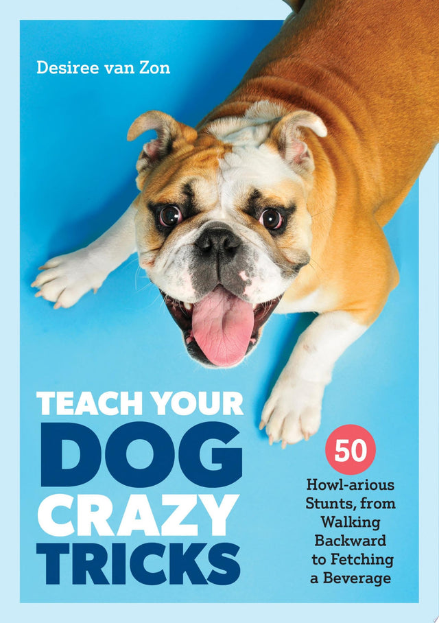 Teach Your Dog Crazy Tricks